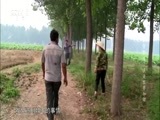 纪录频道非常职业