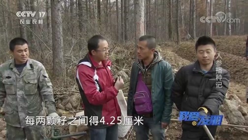 我爱发明 《我爱发明》 20200110 人参播种记