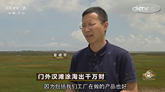 致富经 [致富经]门外汉滩涂淘出千万财 20160817