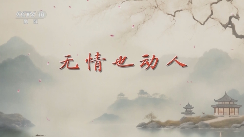 百家讲坛 《百家讲坛》 20250123 红楼冷香梦 3 无情也动人