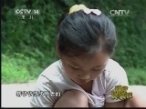 新闻袋袋裤 《新闻袋袋裤》 20140918