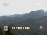 致富经 [致富经]他靠凶猛的娃娃鱼赚钱(20160201)