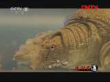 生财有道 《生财有道》 20111014 生态鳖“爬出”致富路