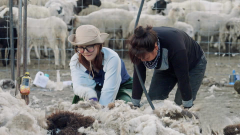 燃烧的月亮 第11期(二) 张歆梦和羊对视笑疯了 吴都都徒手抓羊快出残影