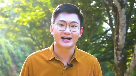 走进潮州爬树摘橄榄 优质橄榄挑选方法首公布