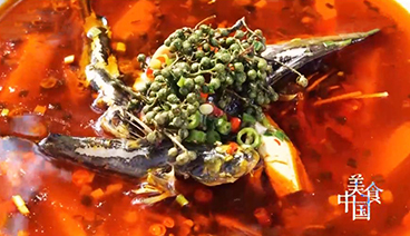 美食中国 《美食中国》 20201224 系列片《一城一味》之一招制鱼