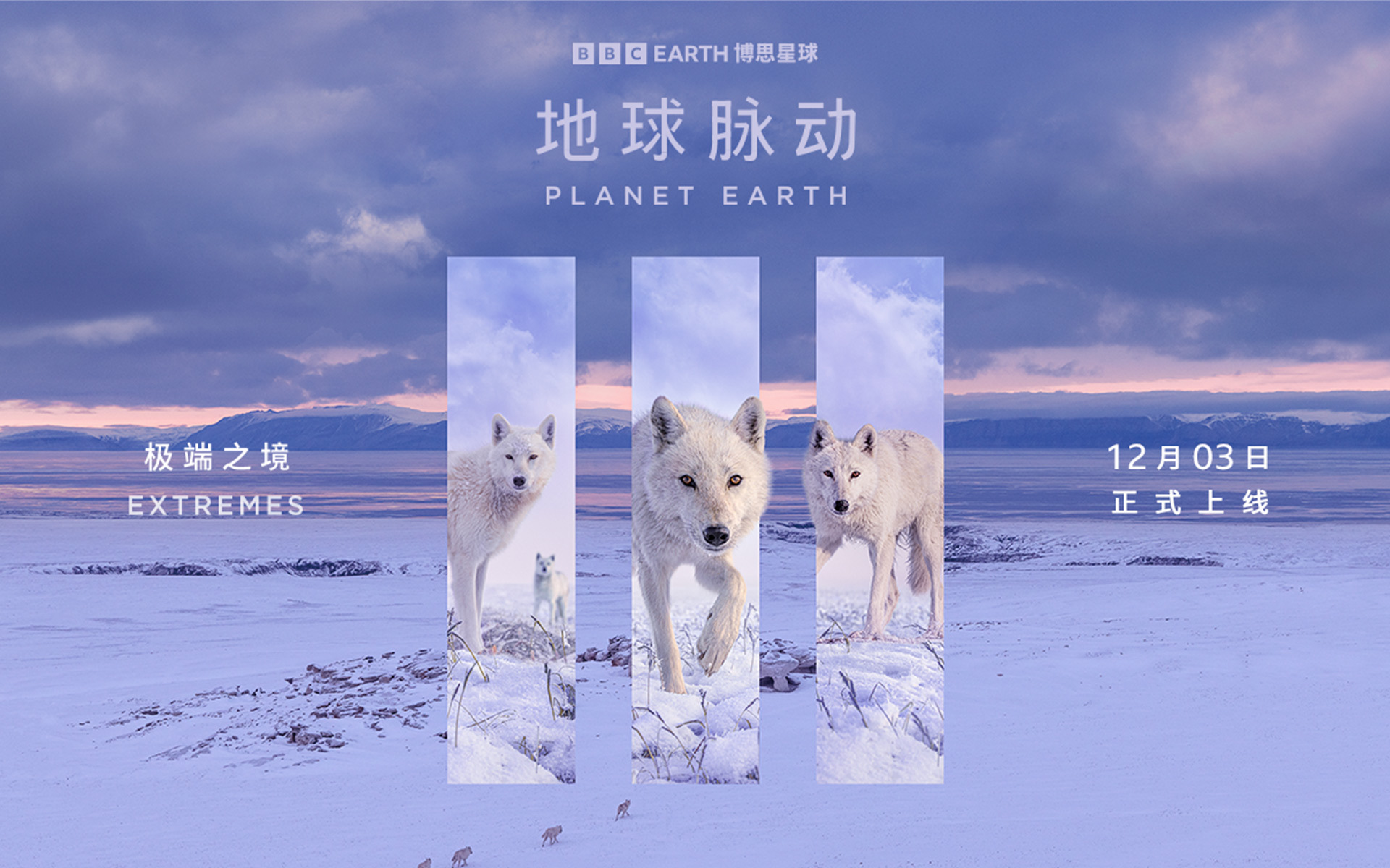 地球脉动 第三季 极端之境