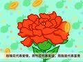 咕力咕力 花语