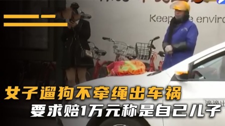 品人生百味第二季 女子遛狗不牵绳出车祸，要求车主赔偿一万元，女子：这是我亲儿子