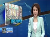 东南晚报 《东南晚报》 20160502