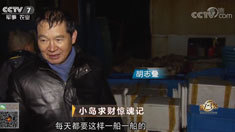 致富经 [致富经]小岛求财惊魂记 20190201