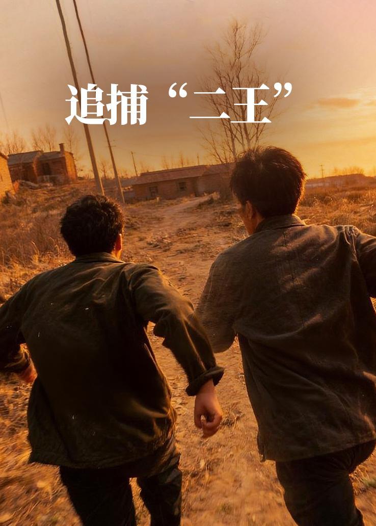 追捕“二王”