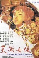 天湖女侠 海报