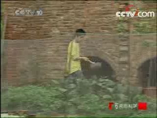 走近科学 我的声音怎么了
