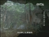 地理中国 天坑奇观·坑底人家《地理中国》 20130308
