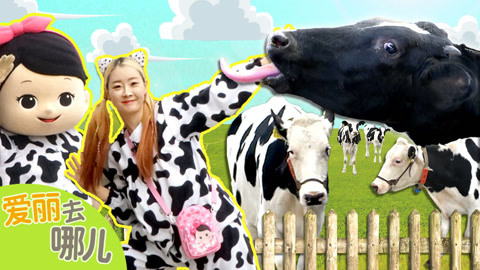 爱丽去哪儿 爱丽的奶牛农场初体验