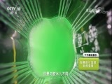 走近科学 《走近科学》 20180115 飞机拒绝穿冰甲