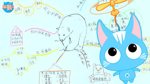 玩疯了之方大手不吃鱼 动物科学 北极熊立体书 我的科学大发现