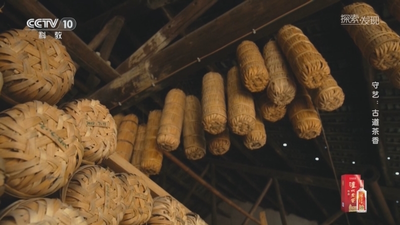《探索·发现》 20260306 守艺：古道茶香
