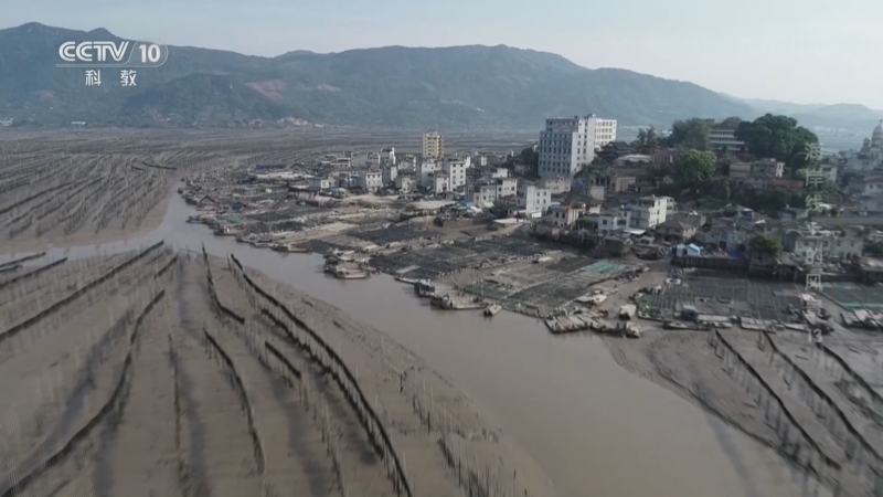 《地理·中国》 20260314 海岸线上的风景13