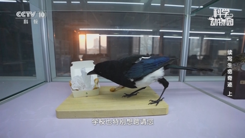 《科学动物园》 20250408 续写生命奇迹（上）