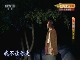 CCTV空中剧院 《CCTV空中剧院》 20160720 京剧《华子良》 2/2