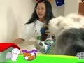 狗狗日记 第178天 妈咪爱睡觉