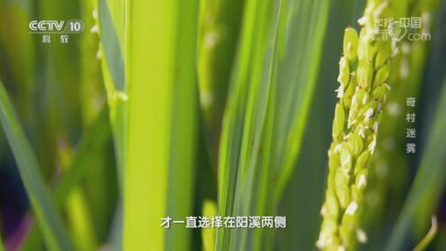 地理中国 《地理·中国》 20200730 奇村迷雾