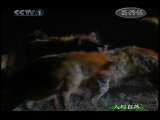 人与自然 人与自然 2010年 第85期