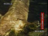 动物世界 动物世界 2010年 第221期