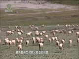 江源扫描 《江源扫描》 20170924 铭记环保先驱 坚守美丽家园