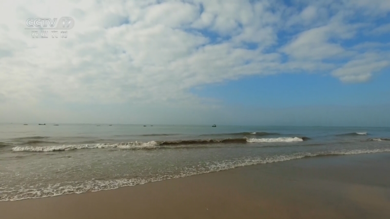 《谁知盘中餐》 20260319 春食纪 岭南“奇味”怪好吃