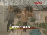 生财有道 《生财有道》 20111216 温室养出鲟鱼来