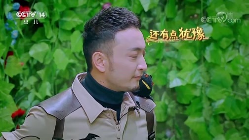 零零大冒险第二季 《零零大冒险》 20181109