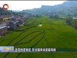 重庆新闻联播 《重庆新闻联播》 20170810