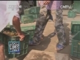 我爱发明 《我爱发明》 20141112 甜桃去核记
