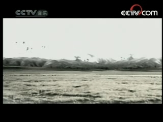 民歌&middot;中国 民歌·中国 2008年 第80期