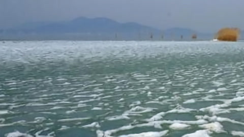 湖北新闻20210305