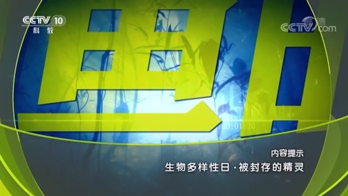 地理中国 《地理中国》 20190524 生物多样性日·被封存的精灵