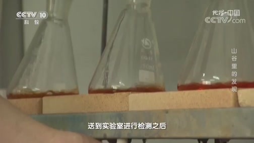 地理中国 《地理·中国》 20200614 山谷里的发现