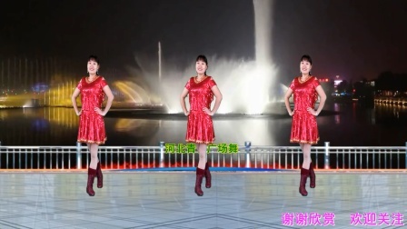 简单16步广场舞《荷东的士高》动感带劲