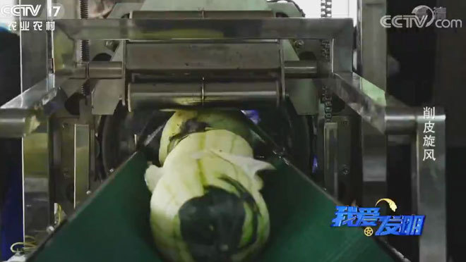 我爱发明 《我爱发明》 20200303 削皮旋风