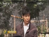 生财有道 《生财有道》 20160202 财智年货2016 千年花乡新春财