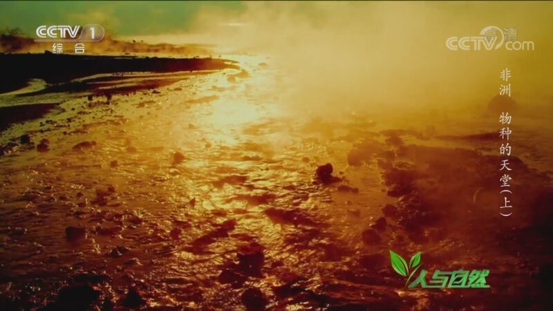 人与自然 《人与自然》 20201102 非洲——物种的天堂（上）
