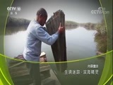 地理中国 《地理中国》 20171016 生境迷踪·滨海精灵