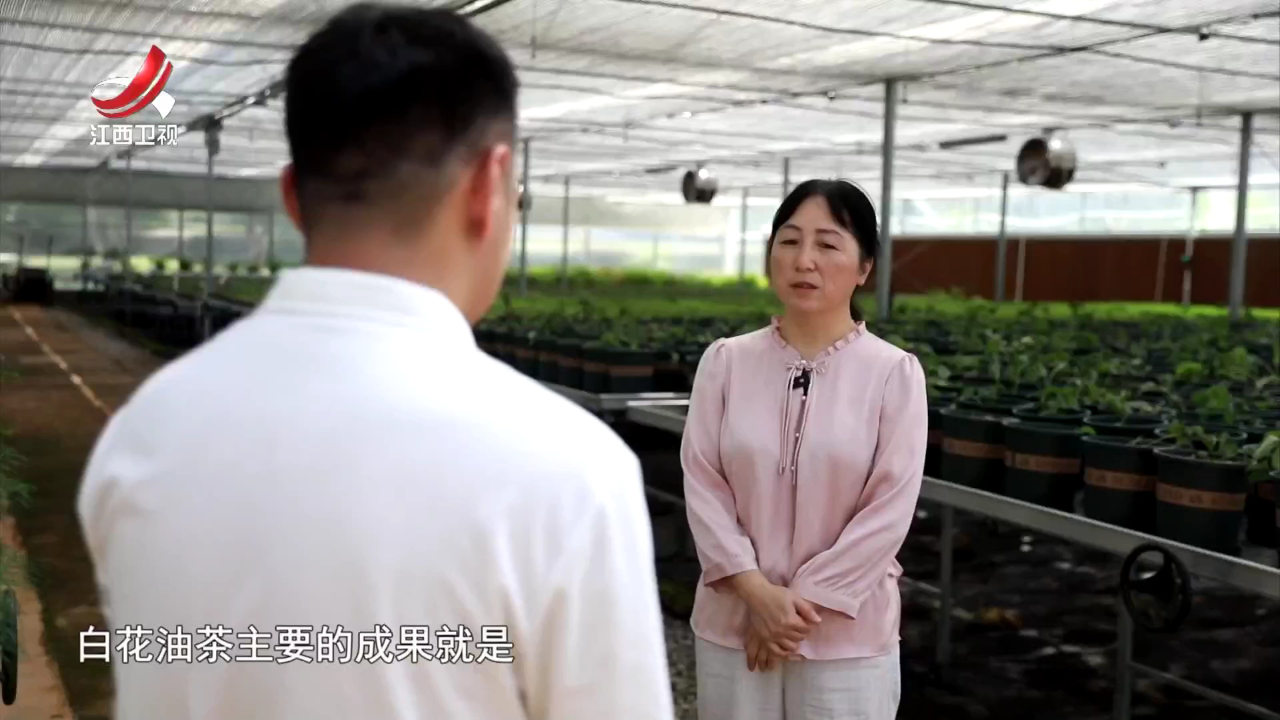 社会传真 庆祝中华人民共和国成立75周年特别节目·75年75人——逐梦“超级油茶”