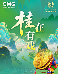 &ldquo;桂&rdquo;在有戏 海报