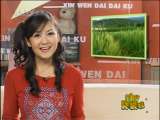新闻袋袋裤 新闻袋袋裤 2010年 第231期