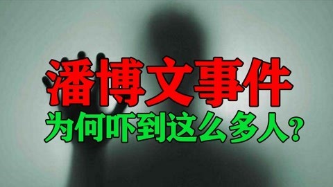 第一人称讲述潘博文事件