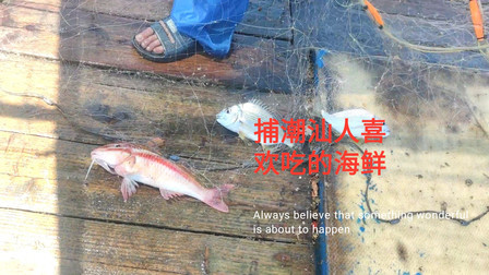 南澳岛赶海日记 小伙去外岛捕鱼，捕这种潮汕人喜欢吃的海鲜，还收获一种会飞的鱼